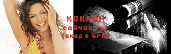 гидра Волосово