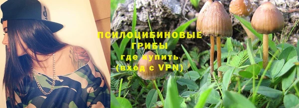 МДПВ Володарск