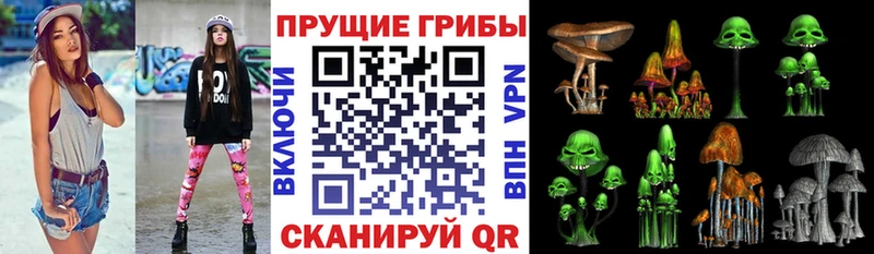 Псилоцибиновые грибы Magic Shrooms Каргополь